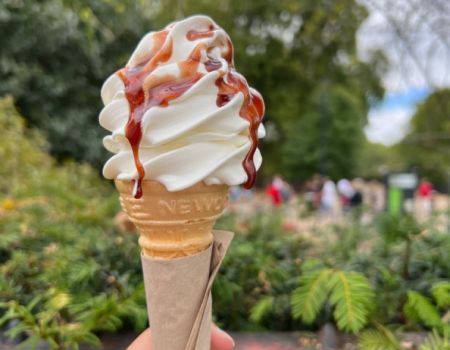 Poleva, topping slaný karamel
